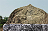 Vijayanagar period inscription discovered near Kollur